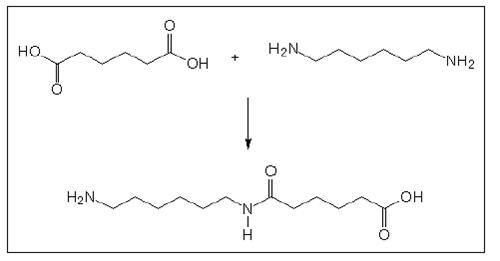 Basic reaction of AA-BB type polyamides.jpg