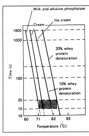 Pasteurization process in dairies2.jpg