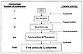 Structure of Industrial Organic Industry.jpg